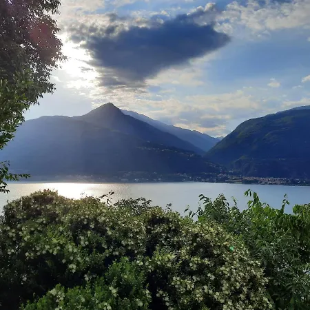Mason Di Marnino